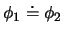 $\pi_1$